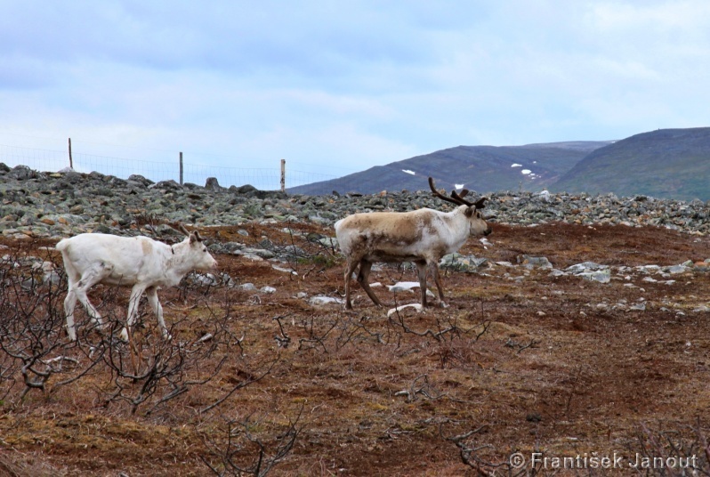 1070_IMG_5799_cf32