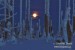28_SU15-D310